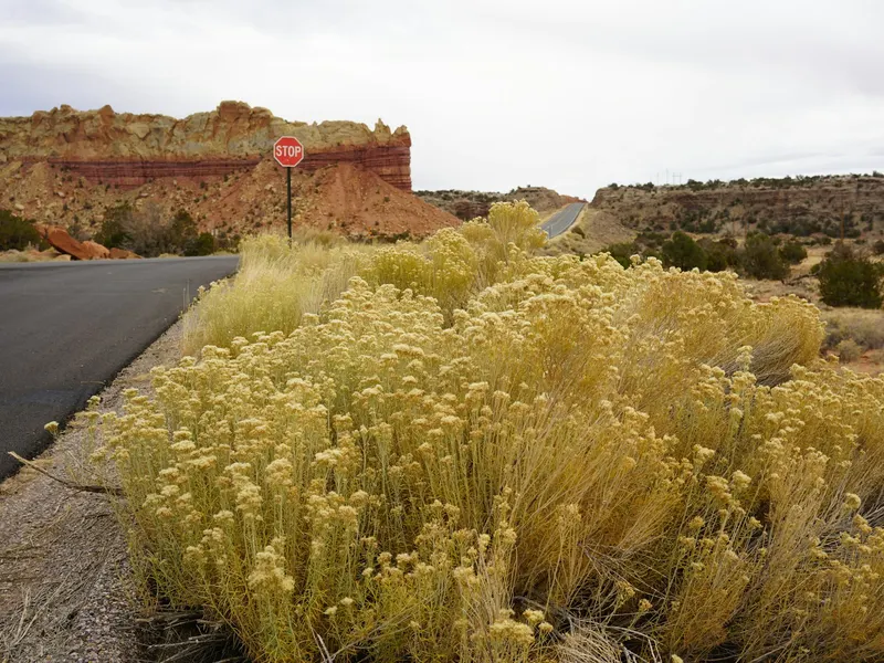Open desert highway in New Mexico